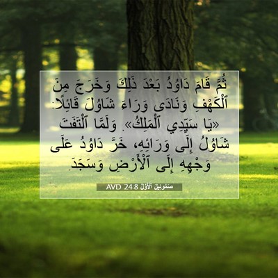 Picture 07 - صَمُوئِيلَ ٱلْأَوَّلُ 24:8 AVD - ثُمَّ قَامَ دَاوُدُ بَعْدَ - Bible Verse Picture