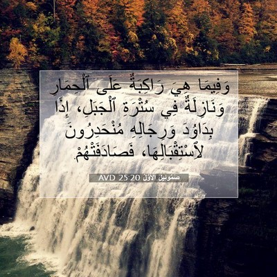 Picture 07 - صَمُوئِيلَ ٱلْأَوَّلُ 25:20 AVD - وَفِيمَا هِيَ رَاكِبَةٌ - Bible Verse Picture
