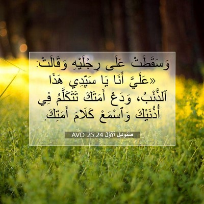 Picture 07 - صَمُوئِيلَ ٱلْأَوَّلُ 25:24 AVD - وَسَقَطَتْ عَلَى - Bible Verse Picture