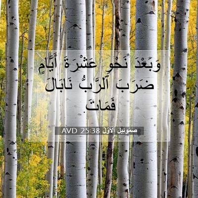 Picture 07 - صَمُوئِيلَ ٱلْأَوَّلُ 25:38 AVD - وَبَعْدَ نَحْوِ عَشْرَةَ - Bible Verse Picture