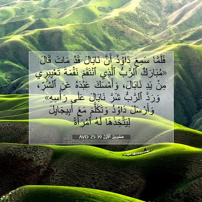 Picture 07 - صَمُوئِيلَ ٱلْأَوَّلُ 25:39 AVD - فَلَمَّا سَمِعَ دَاوُدُ - Bible Verse Picture