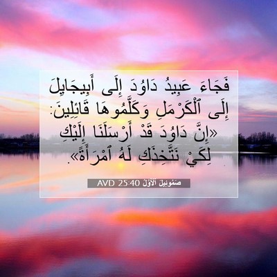 Picture 07 - صَمُوئِيلَ ٱلْأَوَّلُ 25:40 AVD - فَجَاءَ عَبِيدُ دَاوُدَ - Bible Verse Picture