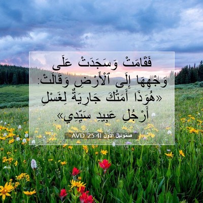 Picture 07 - صَمُوئِيلَ ٱلْأَوَّلُ 25:41 AVD - فَقَامَتْ وَسَجَدَتْ - Bible Verse Picture