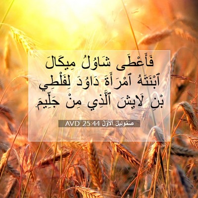 Picture 07 - صَمُوئِيلَ ٱلْأَوَّلُ 25:44 AVD - فَأَعْطَى شَاوُلُ - Bible Verse Picture