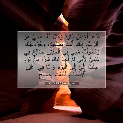 Picture 07 - صَمُوئِيلَ ٱلْأَوَّلُ 29:6 AVD - فَدَعَا أَخِيشُ دَاوُدَ - Bible Verse Picture
