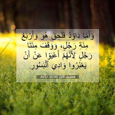 Picture 07 - صَمُوئِيلَ ٱلْأَوَّلُ 30:10 AVD - وَأَمَّا دَاوُدُ فَلَحِقَ - Bible Verse Picture