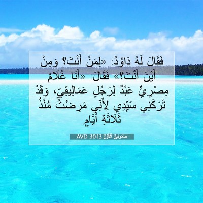 Picture 07 - صَمُوئِيلَ ٱلْأَوَّلُ 30:13 AVD - فَقَالَ لَهُ دَاوُدُ: - Bible Verse Picture