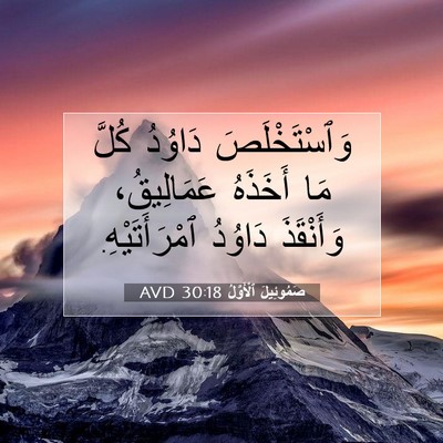 Picture 07 - صَمُوئِيلَ ٱلْأَوَّلُ 30:18 AVD - وَٱسْتَخْلَصَ دَاوُدُ - Bible Verse Picture