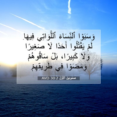 Picture 07 - صَمُوئِيلَ ٱلْأَوَّلُ 30:2 AVD - وَسَبَوْا ٱلنِّسَاءَ - Bible Verse Picture