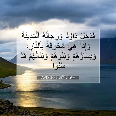 Picture 07 - صَمُوئِيلَ ٱلْأَوَّلُ 30:3 AVD - فَدَخَلَ دَاوُدُ - Bible Verse Picture