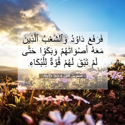 Picture 07 - صَمُوئِيلَ ٱلْأَوَّلُ 30:4 AVD - فَرَفَعَ دَاوُدُ - Bible Verse Picture