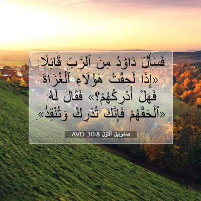 Picture 07 - صَمُوئِيلَ ٱلْأَوَّلُ 30:8 AVD - فَسَأَلَ دَاوُدُ مِنَ - Bible Verse Picture