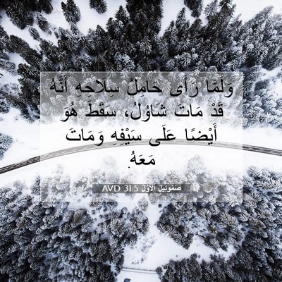 Picture 07 - صَمُوئِيلَ ٱلْأَوَّلُ 31:5 AVD - وَلَمَّا رَأَى حَامِلُ - Bible Verse Picture