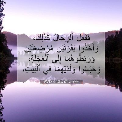 Picture 07 - صَمُوئِيلَ ٱلْأَوَّلُ 6:10 AVD - فَفَعَلَ ٱلرِّجَالُ - Bible Verse Picture