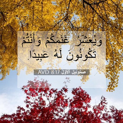 Picture 07 - صَمُوئِيلَ ٱلْأَوَّلُ 8:17 AVD - وَيُعَشِّرُ غَنَمَكُمْ - Bible Verse Picture
