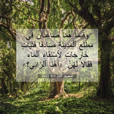 Picture 07 - صَمُوئِيلَ ٱلْأَوَّلُ 9:11 AVD - وَفِيمَا هُمَا صَاعِدَانِ - Bible Verse Picture