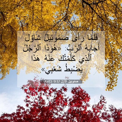 Picture 07 - صَمُوئِيلَ ٱلْأَوَّلُ 9:17 AVD - فَلَمَّا رَأَى صَمُوئِيلُ - Bible Verse Picture