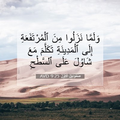 Picture 07 - صَمُوئِيلَ ٱلْأَوَّلُ 9:25 AVD - وَلَمَّا نَزَلُوا مِنَ - Bible Verse Picture