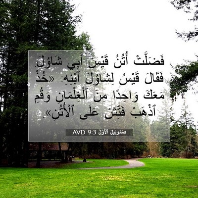 Picture 07 - صَمُوئِيلَ ٱلْأَوَّلُ 9:3 AVD - فَضَلَّتْ أُتُنُ قَيْسَ - Bible Verse Picture
