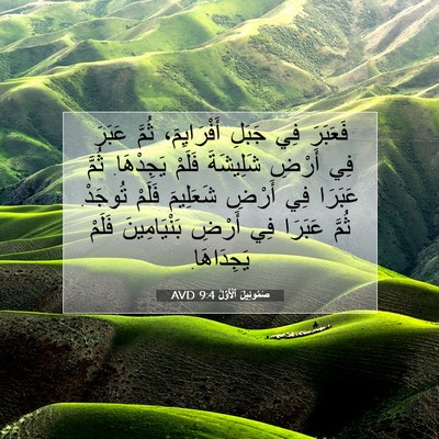 Picture 07 - صَمُوئِيلَ ٱلْأَوَّلُ 9:4 AVD - فَعَبَرَ فِي جَبَلِ - Bible Verse Picture