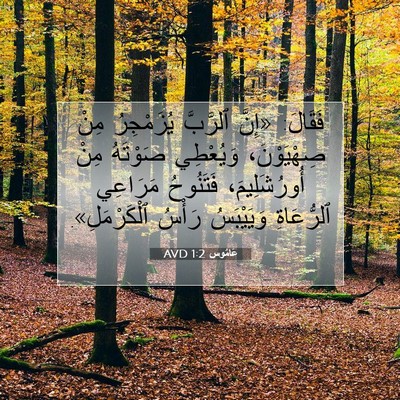 Picture 07 - عَامُوس 1:2 AVD - فَقَالَ: «إِنَّ ٱلرَّبَّ - Bible Verse Picture