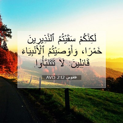 Picture 07 - عَامُوس 2:12 AVD - لَكِنَّكُمْ سَقَيْتُمُ - Bible Verse Picture