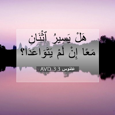 Picture 07 - عَامُوس 3:3 AVD - هَلْ يَسِيرُ ٱثْنَانِ - Bible Verse Picture
