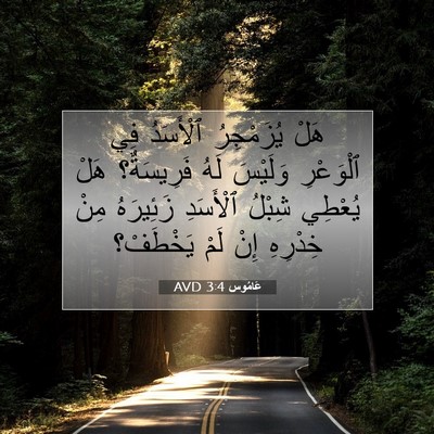 Picture 07 - عَامُوس 3:4 AVD - هَلْ يُزَمْجِرُ ٱلْأَسَدُ - Bible Verse Picture