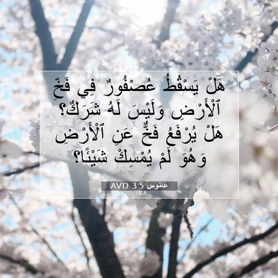Picture 07 - عَامُوس 3:5 AVD - هَلْ يَسْقُطُ عُصْفُورٌ - Bible Verse Picture