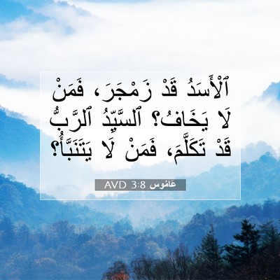 Picture 07 - عَامُوس 3:8 AVD - ٱلْأَسَدُ قَدْ زَمْجَرَ، - Bible Verse Picture