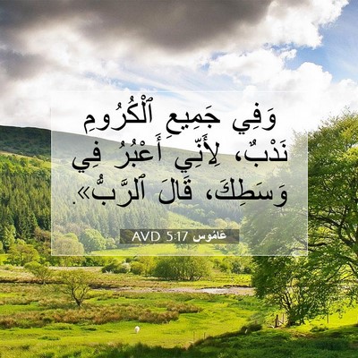 Picture 07 - عَامُوس 5:17 AVD - وَفِي جَمِيعِ ٱلْكُرُومِ - Bible Verse Picture
