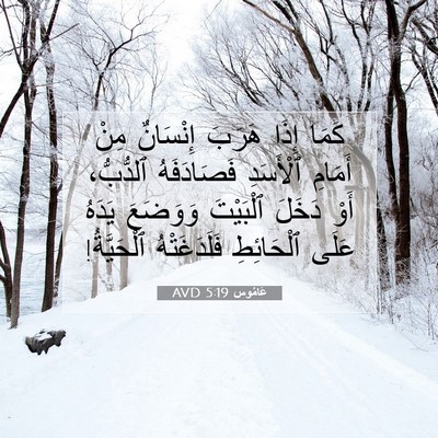 Picture 07 - عَامُوس 5:19 AVD - كَمَا إِذَا هَرَبَ - Bible Verse Picture