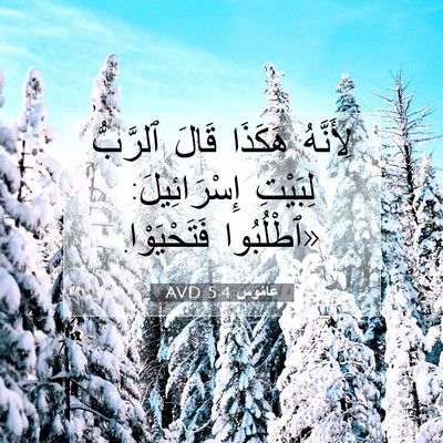 Picture 07 - عَامُوس 5:4 AVD - لِأَنَّهُ هَكَذَا قَالَ - Bible Verse Picture