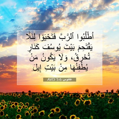 Picture 07 - عَامُوس 5:6 AVD - اُطْلُبُوا ٱلرَّبَّ - Bible Verse Picture