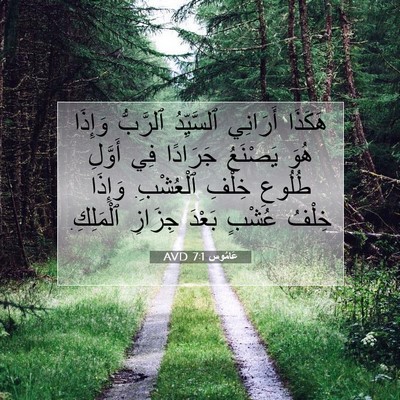 Picture 07 - عَامُوس 7:1 AVD - هَكَذَا أَرَانِي - Bible Verse Picture