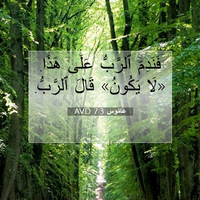 Picture 07 - عَامُوس 7:3 AVD - فَنَدِمَ ٱلرَّبُّ عَلَى - Bible Verse Picture