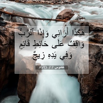 Picture 07 - عَامُوس 7:7 AVD - هَكَذَا أَرَانِي وَإِذَا - Bible Verse Picture