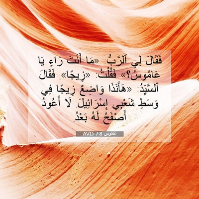 Picture 07 - عَامُوس 7:8 AVD - فَقَالَ لِي ٱلرَّبُّ: «مَا - Bible Verse Picture
