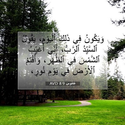 Picture 07 - عَامُوس 8:9 AVD - وَيَكُونُ فِي ذَلِكَ - Bible Verse Picture