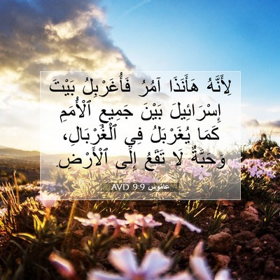 Picture 07 - عَامُوس 9:9 AVD - لِأَنَّهُ هَأَنَذَا آمُرُ - Bible Verse Picture