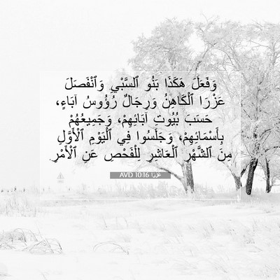 Picture 07 - عَزْرَا 10:16 AVD - وَفَعَلَ هَكَذَا بَنُو - Bible Verse Picture