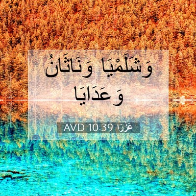Picture 07 - عَزْرَا 10:39 AVD - وَشَلَمْيَا وَنَاثَانُ - Bible Verse Picture
