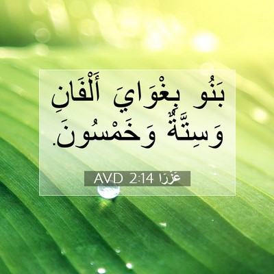 Picture 07 - عَزْرَا 2:14 AVD - بَنُو بِغْوَايَ أَلْفَانِ - Bible Verse Picture