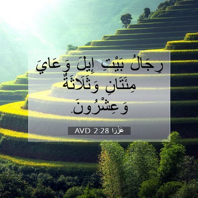 Picture 07 - عَزْرَا 2:28 AVD - رِجَالُ بَيْتِ إِيلَ - Bible Verse Picture