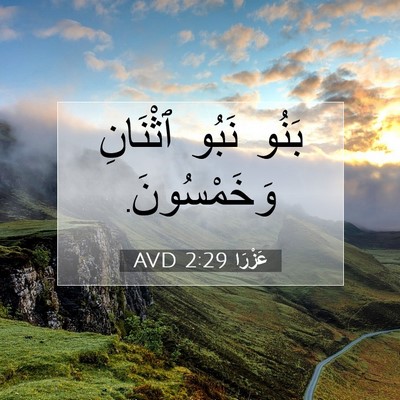 Picture 07 - عَزْرَا 2:29 AVD - بَنُو نَبُو ٱثْنَانِ - Bible Verse Picture