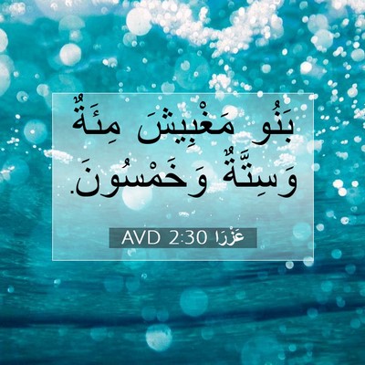 Picture 07 - عَزْرَا 2:30 AVD - بَنُو مَغْبِيشَ مِئَةٌ - Bible Verse Picture