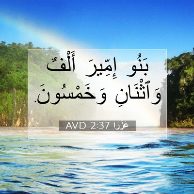 Picture 07 - عَزْرَا 2:37 AVD - بَنُو إِمِّيرَ أَلْفٌ - Bible Verse Picture