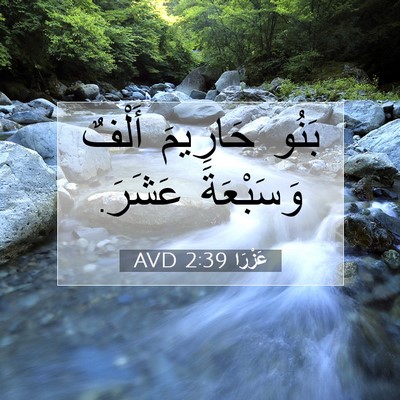 Picture 07 - عَزْرَا 2:39 AVD - بَنُو حَارِيمَ أَلْفٌ - Bible Verse Picture