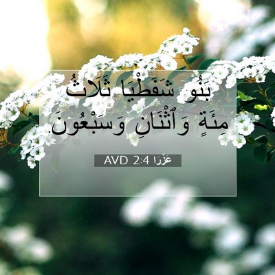Picture 07 - عَزْرَا 2:4 AVD - بَنُو شَفَطْيَا ثَلَاثُ - Bible Verse Picture