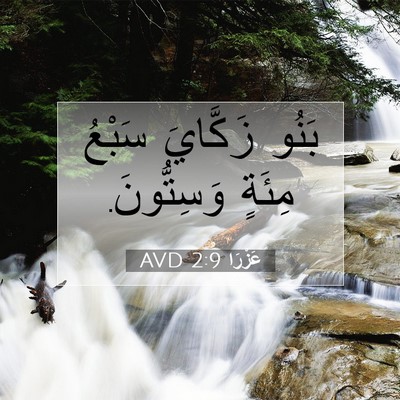 Picture 07 - عَزْرَا 2:9 AVD - بَنُو زَكَّايَ سَبْعُ - Bible Verse Picture